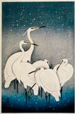 Egrets in the Snow - Restored